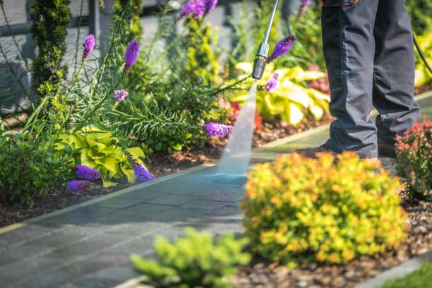 Best Gutter Cleaning  in Lindale, GA